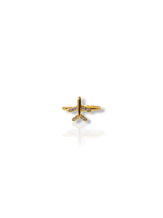 Anello Aereo